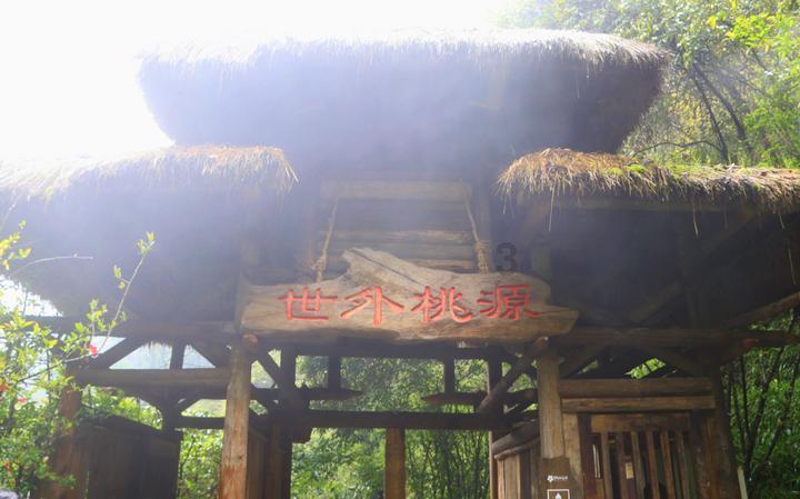 牛油果面包